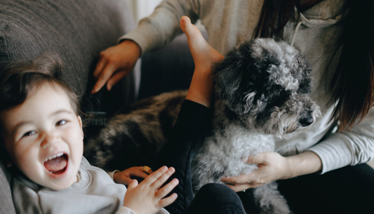 Is a removable and washable sofa cover a must-have for homes with pets or kids?